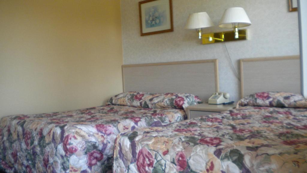 Studio 6 Suites - Albany, Or Zimmer foto